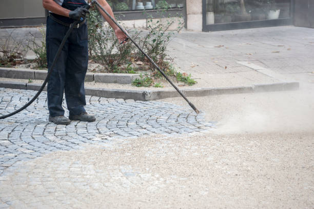 Trusted Trinity, NC Pressure Washing Services Experts