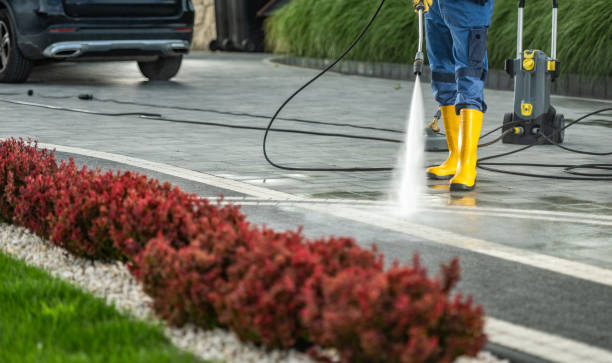 Best Building Exterior Washing  in Trinity, NC